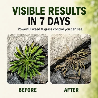 Quick-acting natural weeding spray
